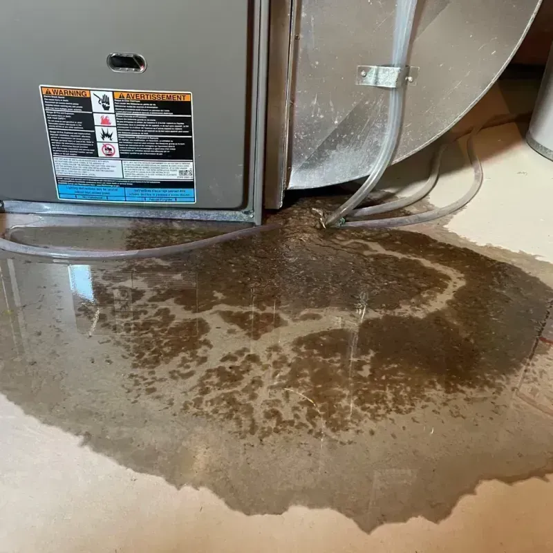 Appliance Leak Cleanup in Stonewood, WV